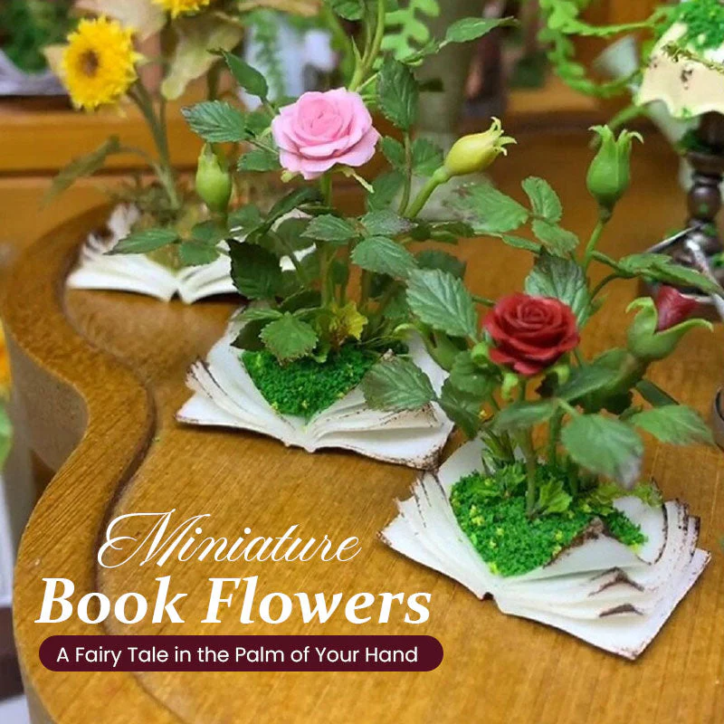 Decor & Garden Collection